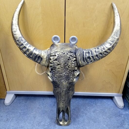 Goudkleurige bizon skull kopen bij RataPlan webshop!