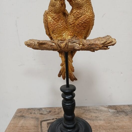 Goudkleurige parkieten op stok kopen bij RataPlan webshop!