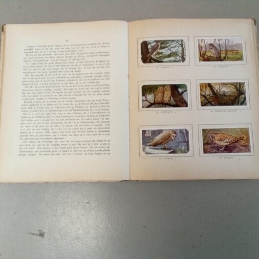 Jac P.T hysse kopen bij RataPlan webshop!