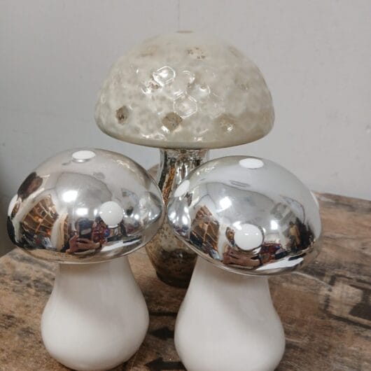 Paddestoelen 3 stuks kopen bij RataPlan webshop!