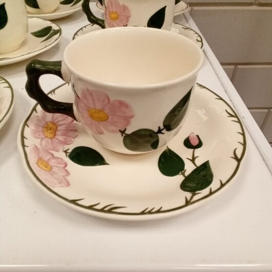 Villeroy en Boch 9x kop en schotel set kopen bij RataPlan webshop!