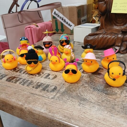 Grappige badeendjes kopen bij RataPlan webshop!