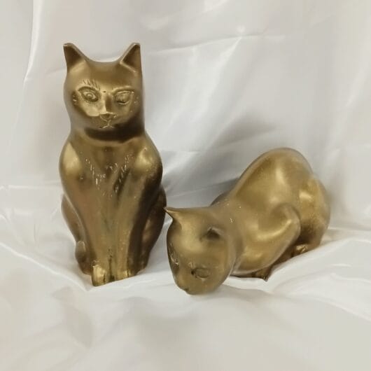 Set messing poezen. kopen bij RataPlan webshop!