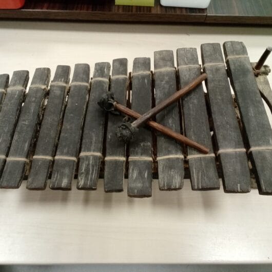 Authentieke Balafoon West-Afrika kopen bij RataPlan webshop!