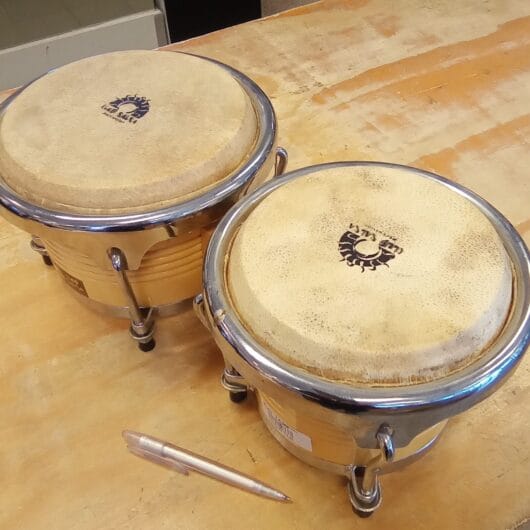 Club Salsa Bongos kopen bij RataPlan webshop!