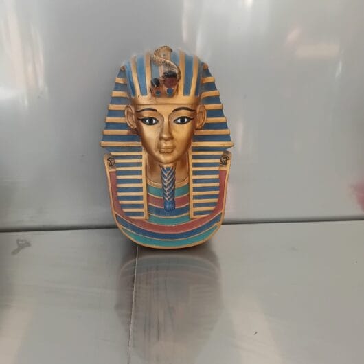 Farao kopen bij RataPlan webshop!