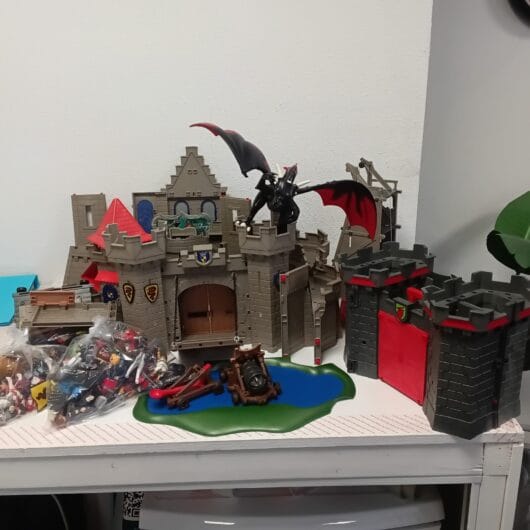 Playmobil kastelen en draak kopen bij RataPlan webshop!