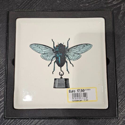 Schaal door Gangzaï kopen bij RataPlan webshop!