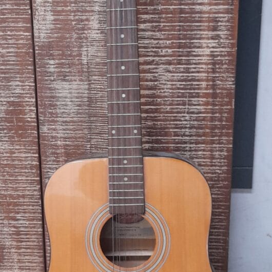 Stagg gitaar 12 snarig Western kopen bij RataPlan webshop!