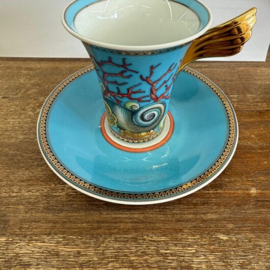 Versace Kop & schotel kopen bij RataPlan webshop!