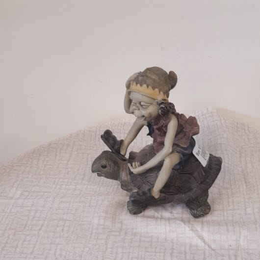 Pixie beeld op schildpad kopen bij RataPlan webshop!