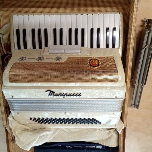 Accordeon Roko kopen bij RataPlan webshop!