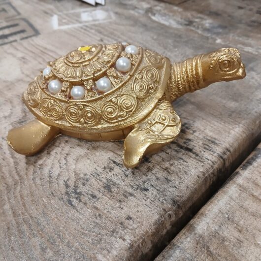 Schildpadbeeldje kopen bij RataPlan webshop!